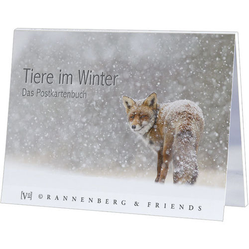 Postkartenbuch Tiere im Winter