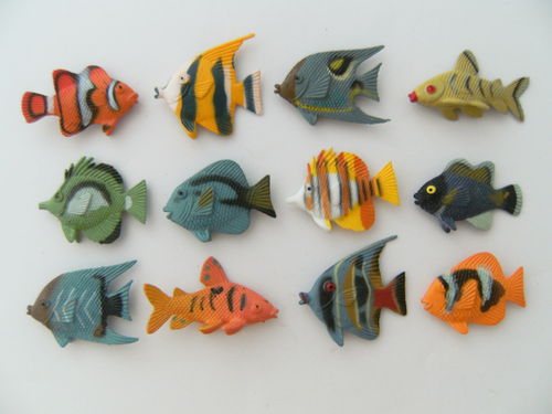 Spieltiere tropische Fische