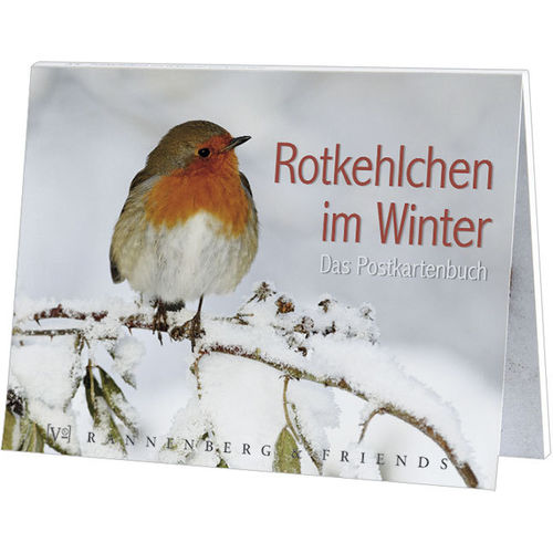 Postkartenbuch Rotkehlchen im Winter