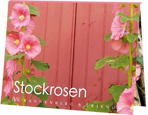 Postkartenbuch Stockrosen