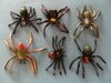 Spieltiere Stretch Spinnen