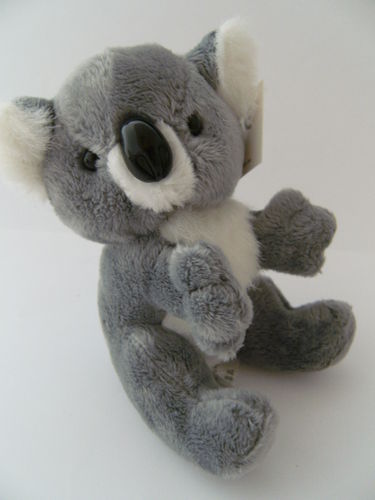 Plüschtier Koala Bär