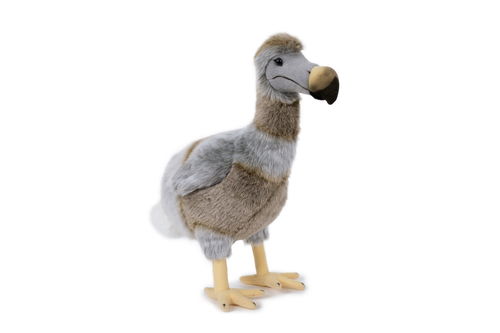 Kuscheltier Dodo