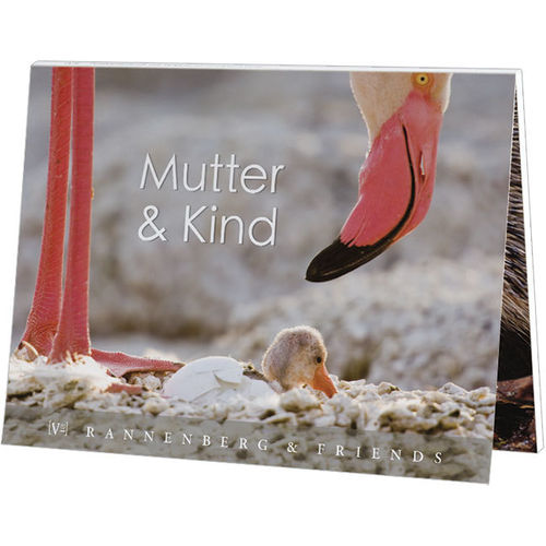 Postkartenbuch: Mutter und Kind im Tierreich