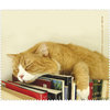 Katze auf Büchern