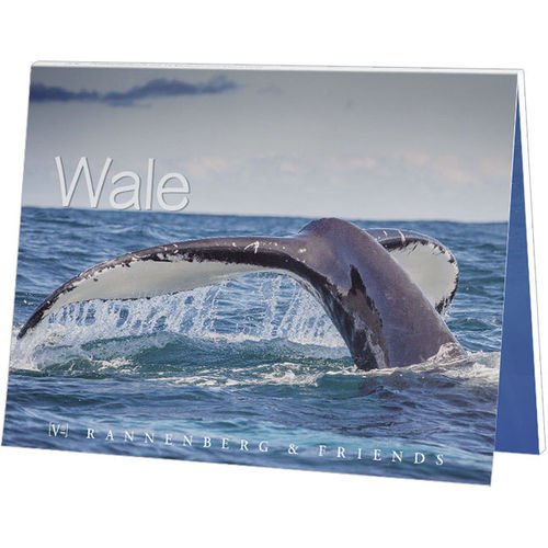 Postkartenbuch Wale