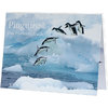Postkartenbuch Pinguine