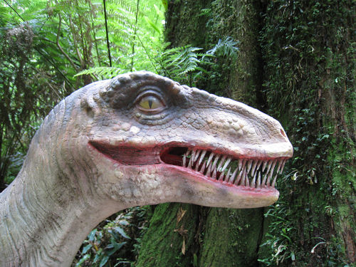 Velociraptor Kopf