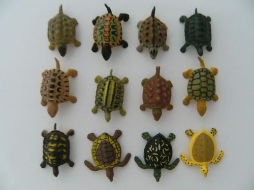 Spieltiere Schildkröten