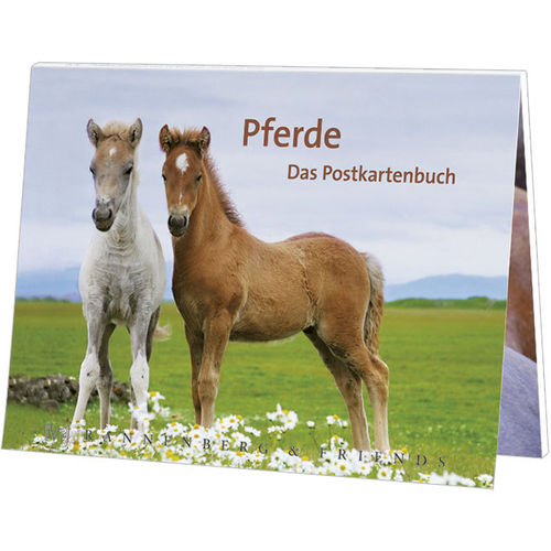 Postkartenbuch Pferde